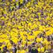 Michigan fans cheer during the season opener at Michigan Stadium, Saturday, Aug, 31. 
Courtney Sacco I AnnArbor.com 